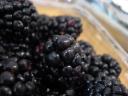 so many delicious blackberries