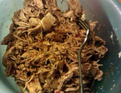 spicy pulled chicken for filling