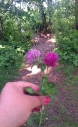 i dont' even care, it's prettyful!